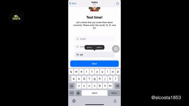 Hamster kombat withdrawal Sinhala | How to create ton wallet | Hamster kombat add wallet | SL Costa