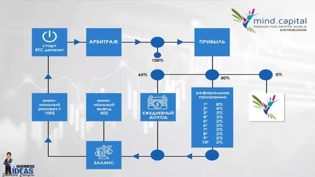 Mind Capital ПОДРОБНЫЙ ОБЗОР ПРОЕКТА Mind Capital смотреть онлайн