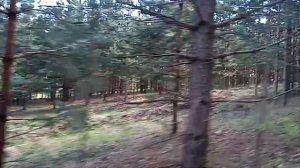 Клявлино  Май 2024