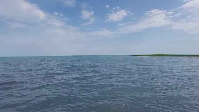 Балхаш теплый 08.08.24 отдых дикорями на Балхаше. смотреть онлайн