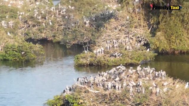 40,000 birds(including 26 rare species) A must visit place for all the Bird Lovers around the world смотреть онлайн