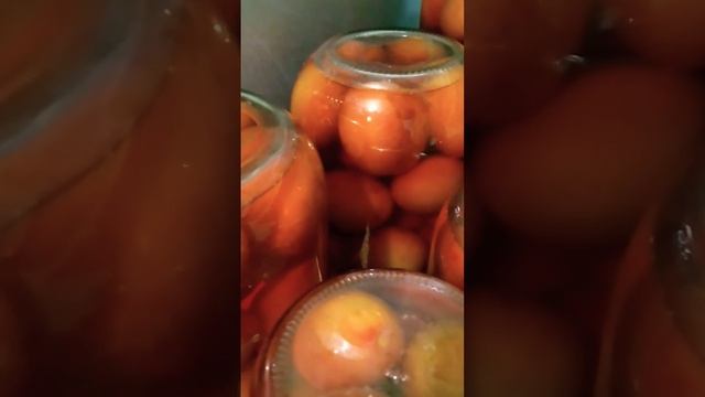 Компот из Слив на зиму!))☺️ #консервация #консервирование #компот #сливы #закрутки #назиму #shorts смотреть онлайн