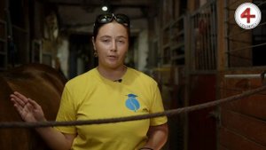 Применения высокоинтенсивного лазера в ветеринарии для лечения травмы сухожильного аппарата у лошади