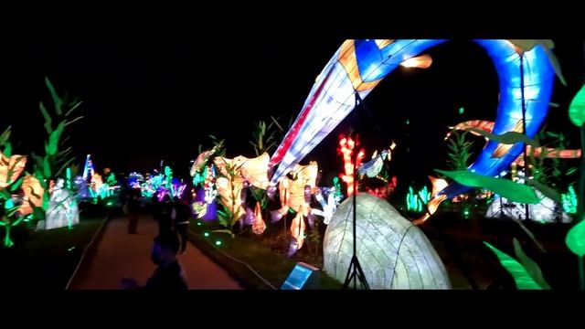 Jardin des Plantes - Evolution on its way to enlightenment 12-30-21 смотреть онлайн