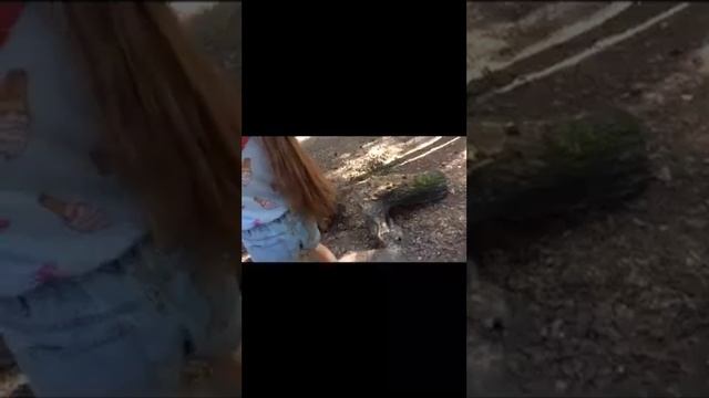 Репортаж из лагеря ,,Строителя,, Часть 1 смотреть онлайн