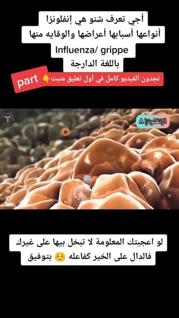 إنفلونزا / grippe / influenza (باللغة الدارجة) смотреть онлайн