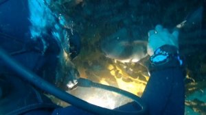 Diving shark cave, Rottnest Island in Western Australia.