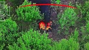 💥☠⚡Очередная штурмовая группа ВСУ уничтожена на границе с Белгородской областью