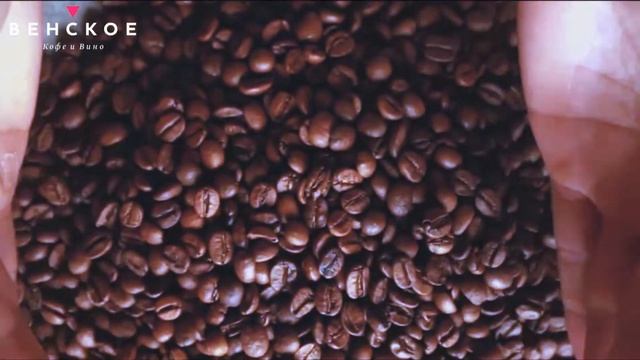 венское1 смотреть онлайн