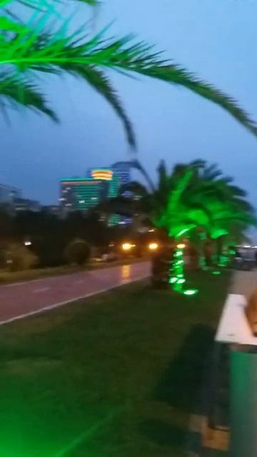 Отдых в Батуми... смотреть онлайн