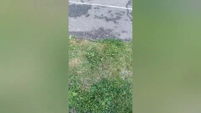 Коротко о дне города Белокуриха! смотреть онлайн