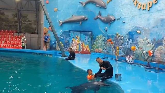 Алушта.Царь зверей вдруг оседлал дельфина.Моя мама в шоке!