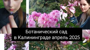 ботанический сад в Калининграде апрель 2025