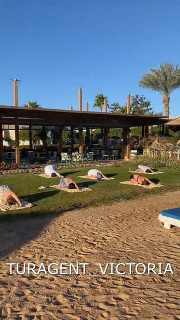 Отель Promenade naama bay beach 5*/Шарм-эль-Шейх/Египет#Shorts смотреть онлайн