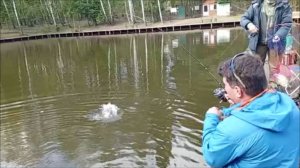 Поимки форели идут в нижнем горизонте. Спорт-зона. Клёвое место Лосиный остров.