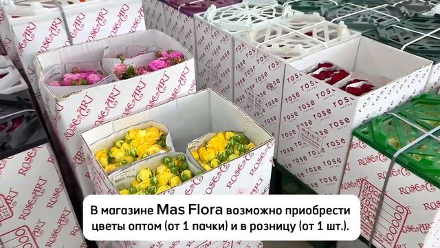 Ярмарка цветов Краснодар. Магазин Mas Flora.