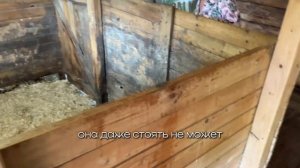 Путешествие на машине с 2 детьми в Суздаль и Владимир // Москва-Владимир-Суздаль 2024