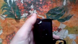 Обзор пистолет пм (газовый)