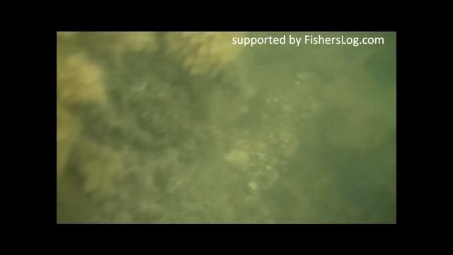 Sea Bass Fishing Scuba смотреть онлайн