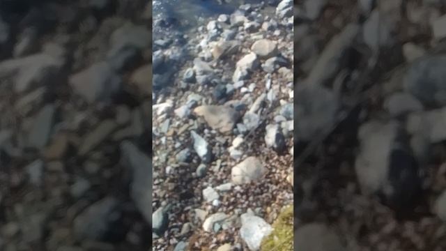 Южно Сахалинск прими меры смотреть онлайн