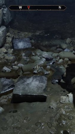 The Elder Scrolls IV: Oblivion - Волшебная крыса #shorts #theelderscrollsivoblivion #pov #games