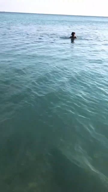 бухта Инал кристально чистое море смотреть онлайн