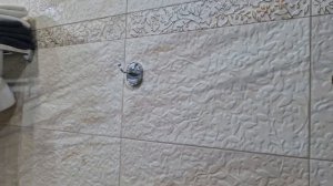 Жоэквара. Гагра. Абхазия. Сегодня 23.06.2024г. Обзор номера 233.