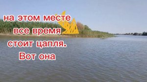 Астрахань.База отдыха Даргон.