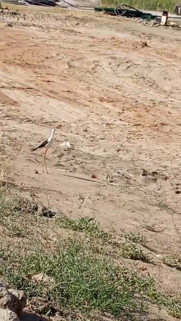 Где то в Соль Илецке😅😅 смотреть онлайн