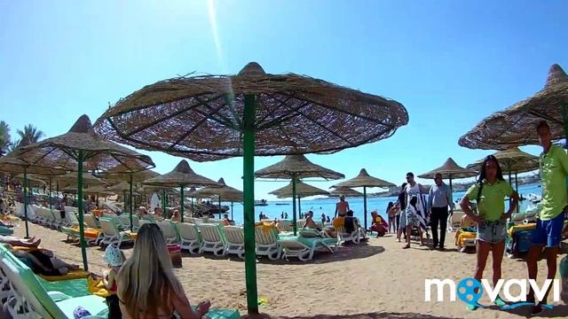 Пляж Royal Holiday Beach Resort / Sharm El Sheikh смотреть онлайн