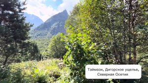 Байради и Таймази - водопады в Дигорском ущелье, Северная Осетия, август 2024