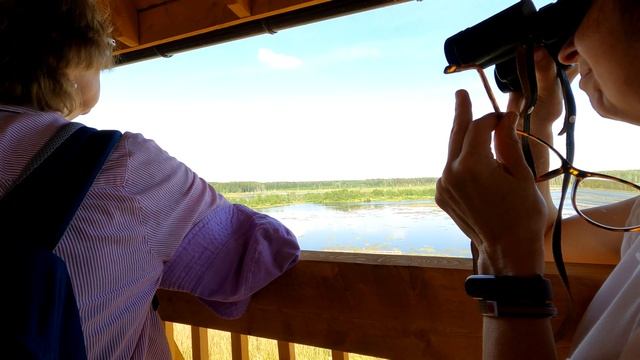 Понтонная экотропа | Лосиный остров | Московская область | Marsh near Moscow | Pontoon trail смотреть онлайн