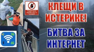 33. ЭПИЧНЫЙ ДЕНЬ НА УЧАСТКЕ: ВОЙНА С КЛЕШАМИ, ОБНОВЛЕНИЕ ВЕРАНДЫ, БИТВА ЗА ИНТЕРНЕТ В ДВА ЭТАПА!