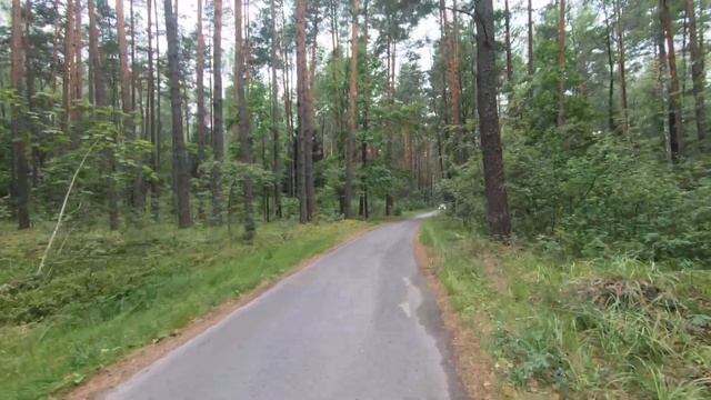 Веломаршрут  в Орловском полесье. Еду за здоровьем и красотой.