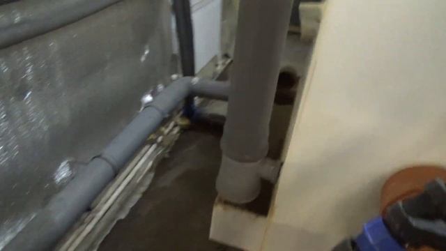 Наша форель! смотреть онлайн