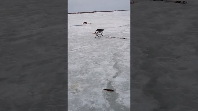 Рыболов-профи смотреть онлайн