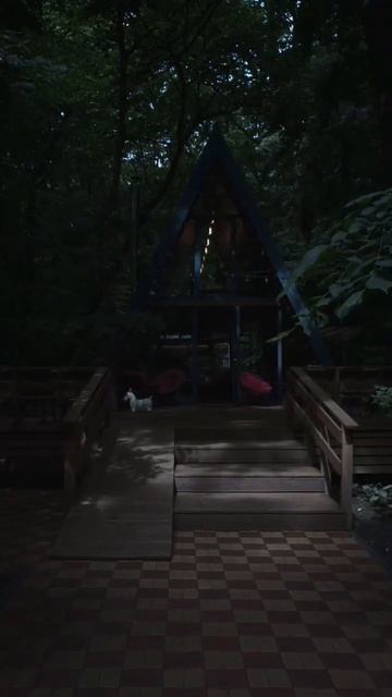 Красивое кафе в парке победы Ставрополя. смотреть онлайн