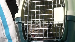 Семья живодёров из университета Лобачевского оказалась связана с известным нижегородским педофилом