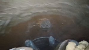 Д. Мышкино. Рваные швы и отсутствие донного фильтра= мутная вода. podkapaev.ru