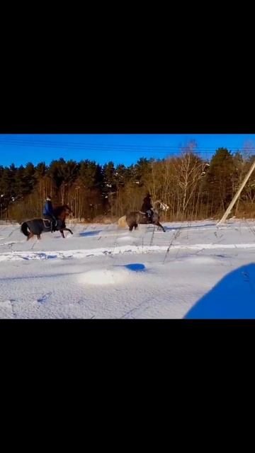 Конный клуб «Малинка» смотреть онлайн