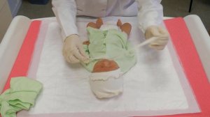 Запись вебинара из серии «Сестринский уход в педиатрии»19 апреля 2022г.