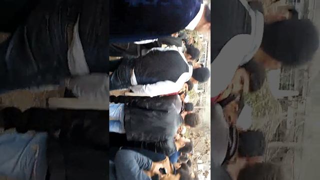 Тажик разбор смотреть онлайн