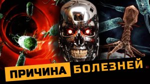 Каким должно быть видовое питание человека?