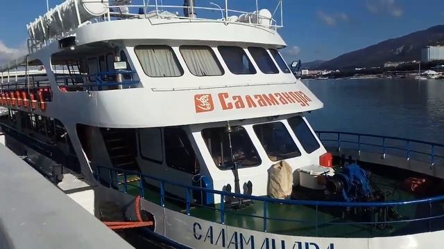 Геленджик.29.08.20 смотреть онлайн