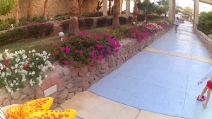 Египет, Continental Plaza Beach & Aqua Park Resort 5*, Дорога на пляж 5 минут