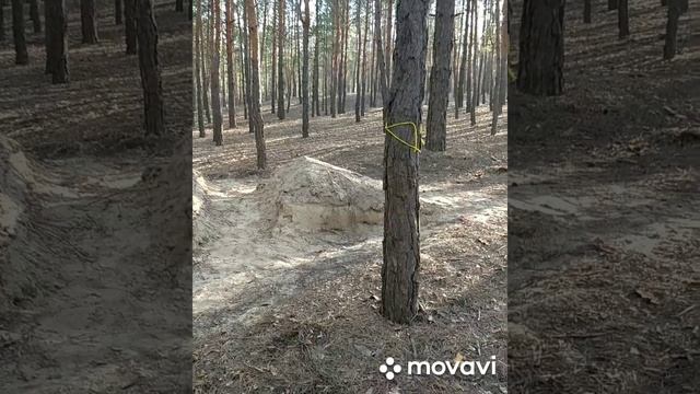 Покатушки в лесу. смотреть онлайн