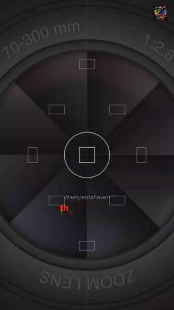 fastest snake in North America : blue racer snake #shorts #serpentshaven смотреть онлайн