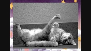 Чудный сон. Стихотворение для детей.