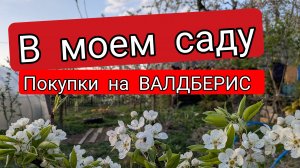 В МОЕМ САДУ //ПОКУПКИ С ВАЛДБЕРИС