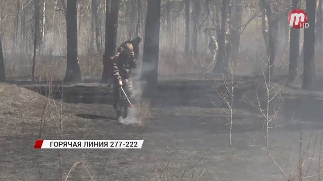 Валерий Вильдавский: "Был разведён костёр на открытой местности" смотреть онлайн